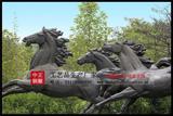 铜雕马